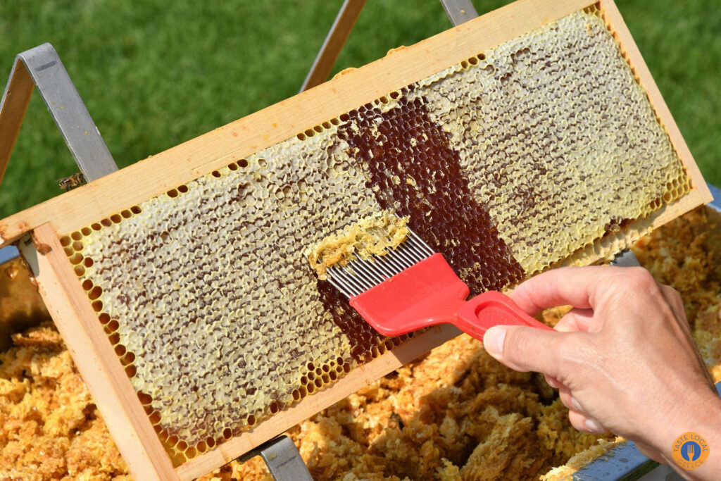 From Nectar to Honey - Gastronomy Tours 20 - Gastronomy Tours